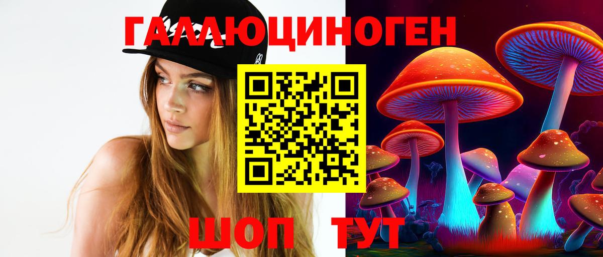 закладки  Псилоцибиновые грибы мицелий  Вход с VPN  Дятьково  Псилоцибиновые грибы прущие грибы 